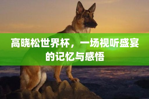 高晓松世界杯，一场视听盛宴的记忆与感悟广西贺州市华昌新材料有限公司