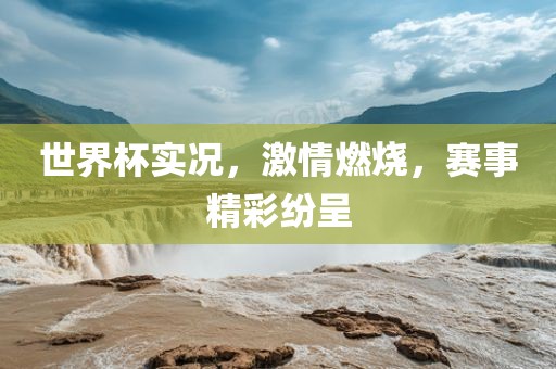 世界杯实况，激情燃烧，赛事精彩纷呈