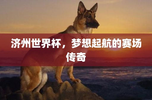 济州世界杯，梦想起航广西贺州市华昌新材料有限公司的赛场传奇