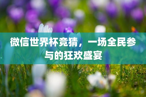 微信世界杯竞猜，一场全民参与的狂欢盛宴广西贺州市华昌新材料有限公司