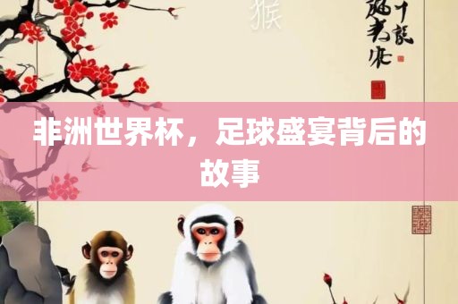非洲世界杯，足球盛宴背后的故事