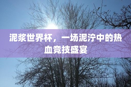 泥浆世界杯，一场泥泞中的热血竞技盛宴广西贺州市华昌新材料有限公司
