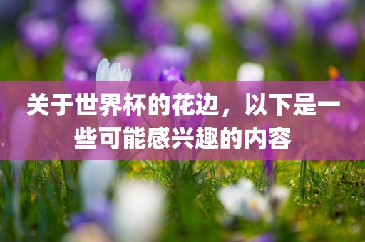 关于世界杯的花边，以下是一些可能感兴趣的内容广西贺州市华昌新材料有限公司