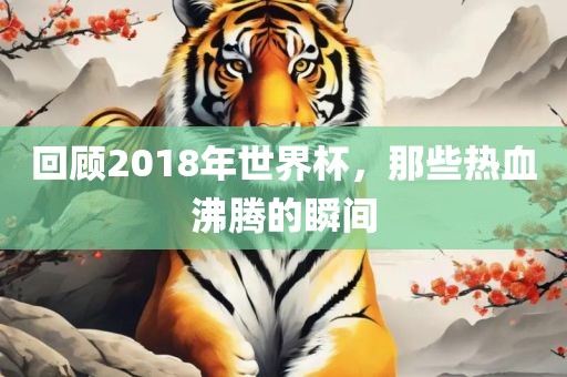 回顾广西贺州市华昌新材料有限公司2018年世界杯，那些热血沸腾的瞬间