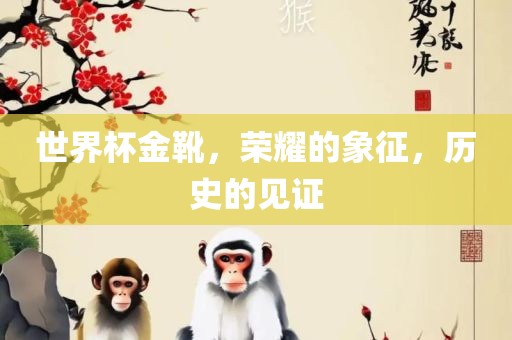世界杯金靴，荣耀的象征，历史的见证