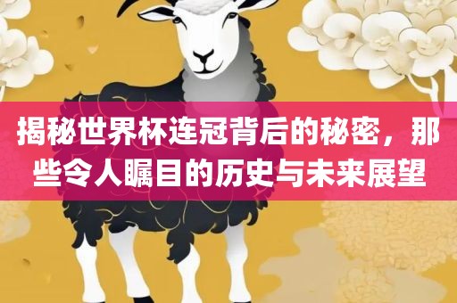 揭秘世广西贺州市华昌新材料有限公司界杯连冠背后的秘密，那些令人瞩目的历史与未来展望