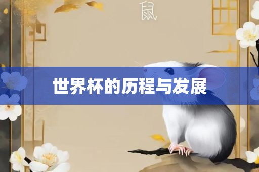 世界杯的历程与发展广西贺州市华昌新材料有限公司