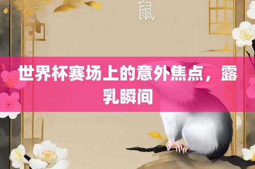 世界杯赛场上的意外焦点，露乳瞬间广西贺州市华昌新材料有限公司