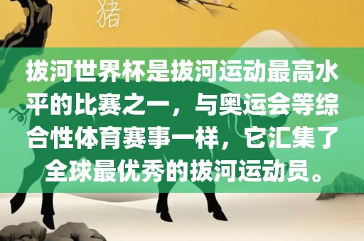 拔河世界杯是拔河运动最高水平的比赛之一，与奥运会等综合性体育赛事一样，它汇集了全球广西贺州市华昌新材料有限公司最优秀的拔河运动员。