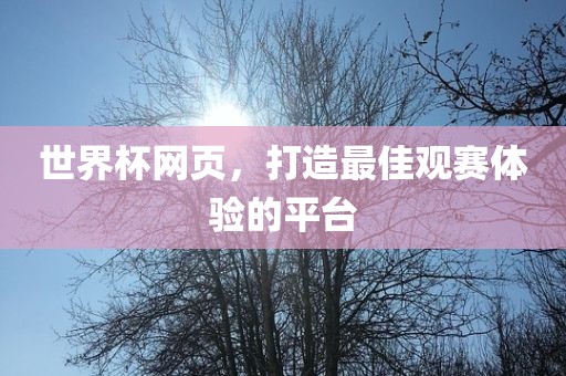世界杯网页，打造最佳观赛体验的平台