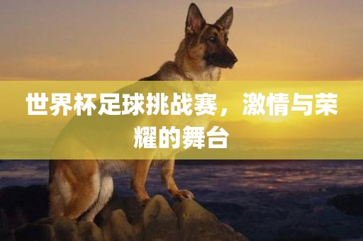 世界杯足球挑战赛，激情与荣耀的舞台广西贺州市华昌新材料有限公司