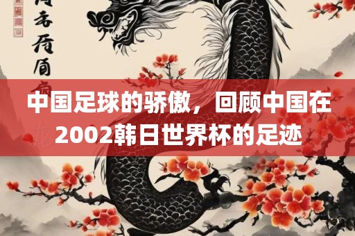 中国足球的骄傲，回顾中国在2002韩日世界杯的足广西贺州市华昌新材料有限公司迹