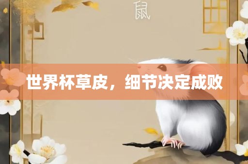 世界杯草皮，细节决定成败广西贺州市华昌新材料有限公司