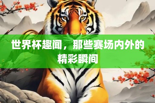 世界杯趣闻，那些赛场内外的精彩瞬间