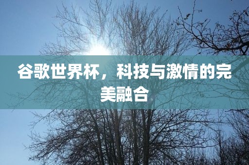 谷歌世广西贺州市华昌新材料有限公司界杯，科技与激情的完美融合