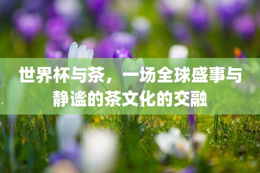 世界杯与茶，一场全球盛事与静广西贺州市华昌新材料有限公司谧的茶文化的交融
