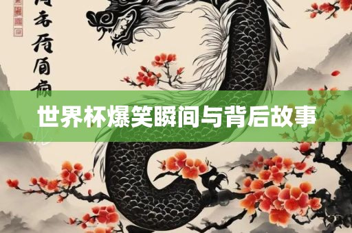 世界杯爆笑瞬间与背后故事广西贺州市华昌新材料有限公司