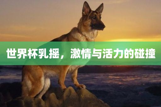世界杯乳摇，激情广西贺州市华昌新材料有限公司与活力的碰撞