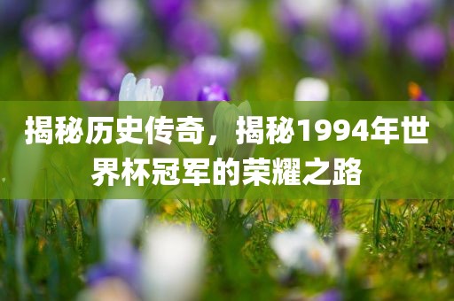 揭秘历史传奇，揭秘1994年世界杯冠军的荣耀之路