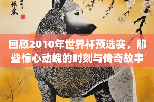 回顾2010年世界杯预选赛，那些惊心动魄的时刻与传奇故事广西贺州市华昌新材料有限公司