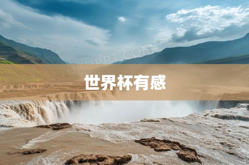 chenjiayi 第5页