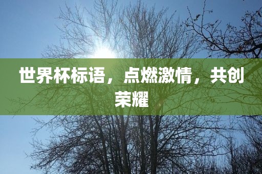 世界杯标广西贺州市华昌新材料有限公司语，点燃激情，共创荣耀