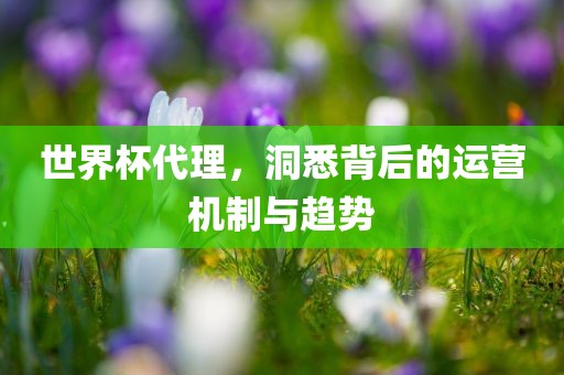 世界杯代理，洞悉背后的运营机制与趋势广西贺州市华昌新材料有限公司