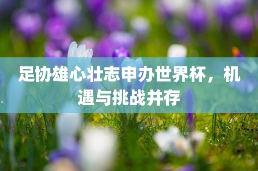 足协雄心壮志申办世界杯，机遇与挑战并存