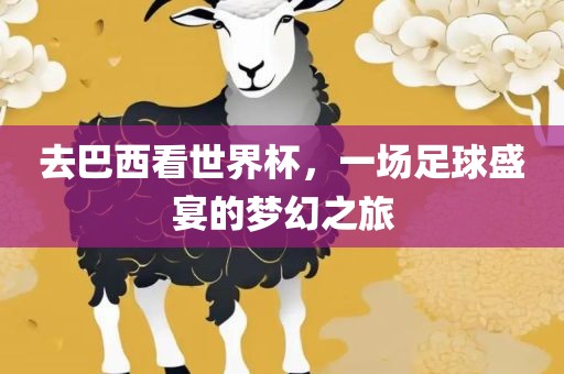 去巴西看世界杯，一场足球盛宴的广西贺州市华昌新材料有限公司梦幻之旅