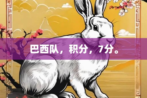 巴西队，积分，7分。广西贺州市华昌新材料有限公司