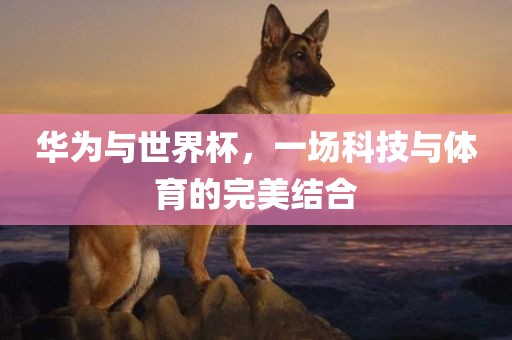 华为与世界杯，一场科技与体育的完美结合广西贺州市华昌新材料有限公司