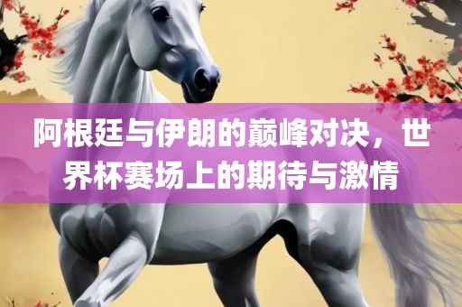 阿根廷与伊朗的巅峰对决，世界杯赛场上的期待与激情广西贺州市华昌新材料有限公司