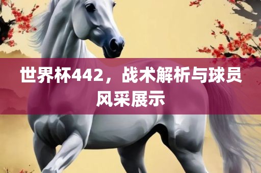 世界杯442，战术解析与球员风采展示广西贺州市华昌新材料有限公司
