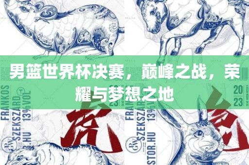 男篮世界杯决赛，巅峰之战，荣耀与梦想之地广西贺州市华昌新材料有限公司