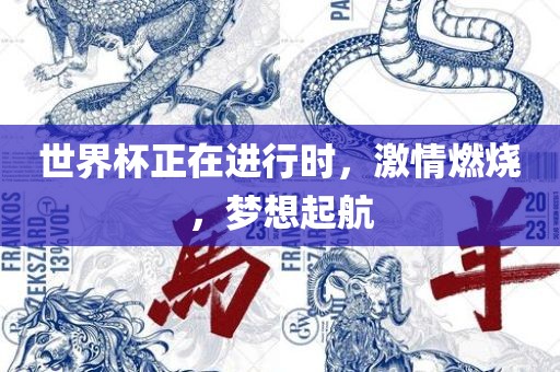 世界杯正在进行时，激情燃烧，梦想起航广西贺州市华昌新材料有限公司