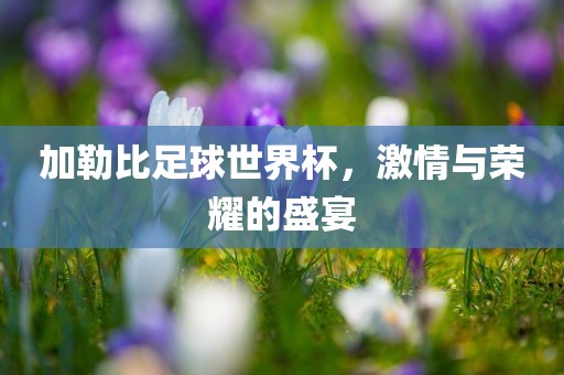 加勒比足球世界杯，激情与荣耀的盛宴广西贺州市华昌新材料有限公司