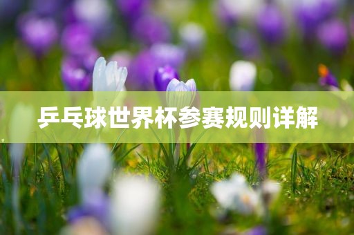 乒乓球世界杯参赛规则详解