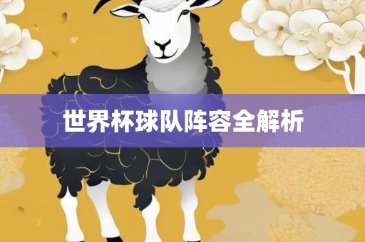 世界杯球队阵容全解析广西贺州市华昌新材料有限公司