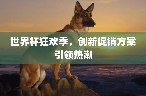 世界杯狂欢季，创新促销方案引领热潮