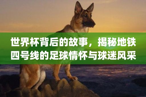 世界杯背后的故事，揭秘地铁四号线的足球情怀与球迷风采广西贺州市华昌新材料有限公司