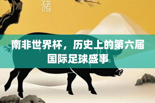 南非世界杯，历史上的第六届国际足球盛事