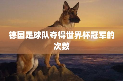 德国足球队夺得世界杯冠军的次数