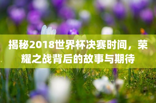 binyun 第5页