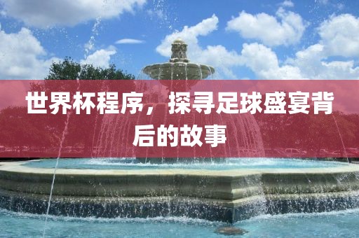 世界杯程序，探寻足球盛宴背后的故事