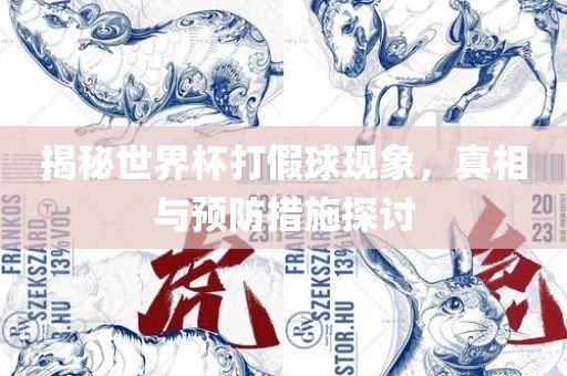 揭秘世界杯打假球现象，真相与预防措施探讨广西贺州市华昌新材料有限公司