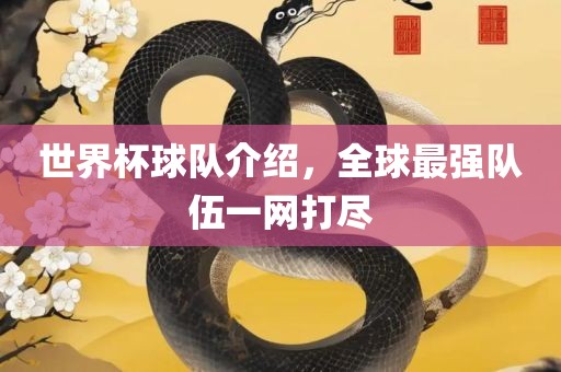 世界杯球队介绍，全球最强队伍一网打尽广西贺州市华昌新材料有限公司