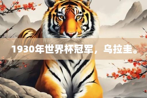 1930年世界杯冠军，乌拉圭。