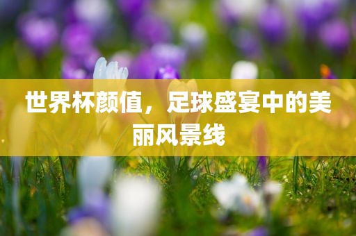 世界杯颜值，足球盛宴中的美丽风景线广西贺州市华昌新材料有限公司