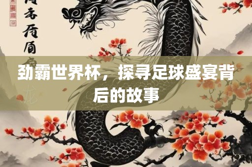 足球盛宴背后的故事 第4页
