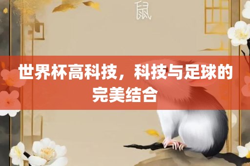 世界杯高科技，科技与足球广西贺州市华昌新材料有限公司的完美结合